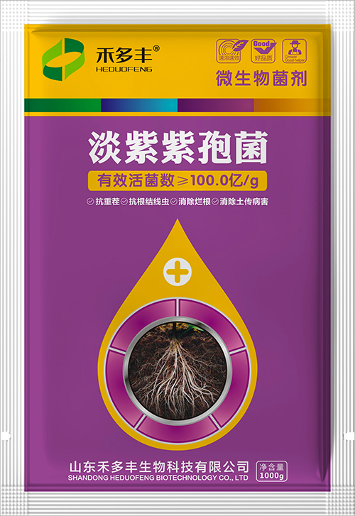 禾多丰-淡紫紫孢菌