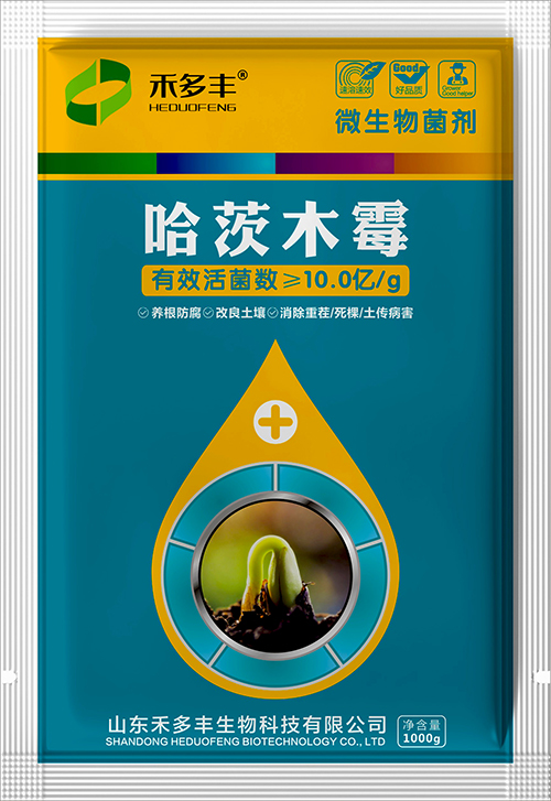 哈茨木霉