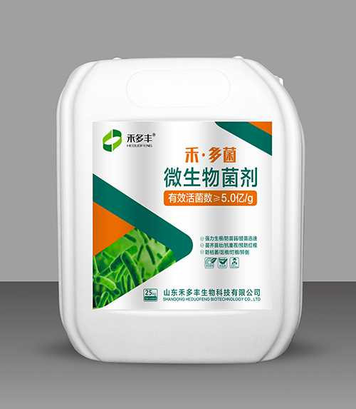 禾多菌1