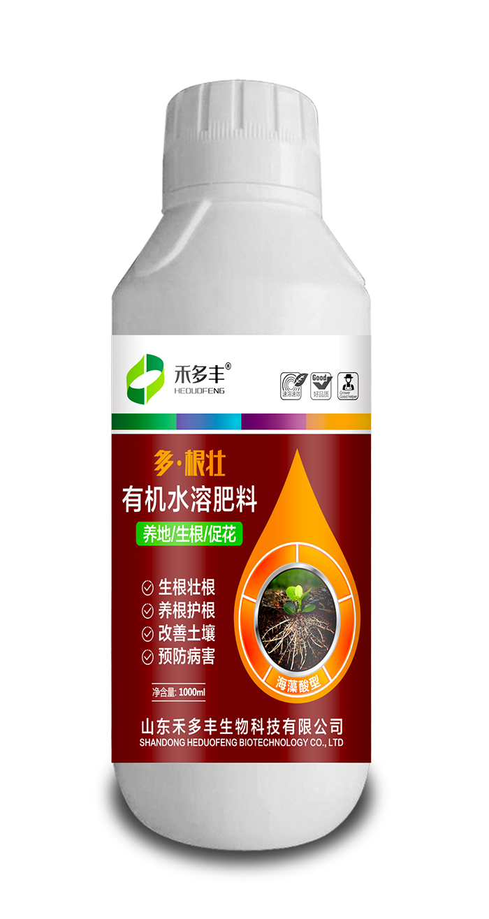 多根壮