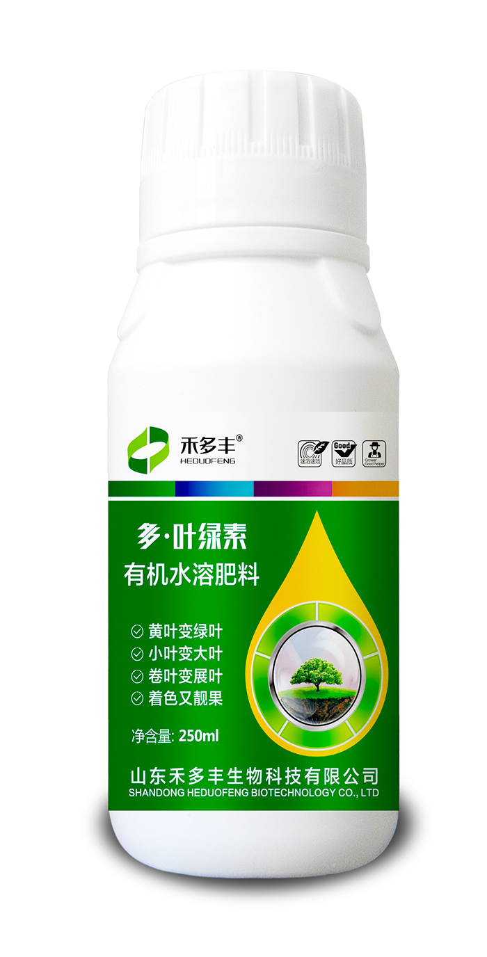 叶绿素